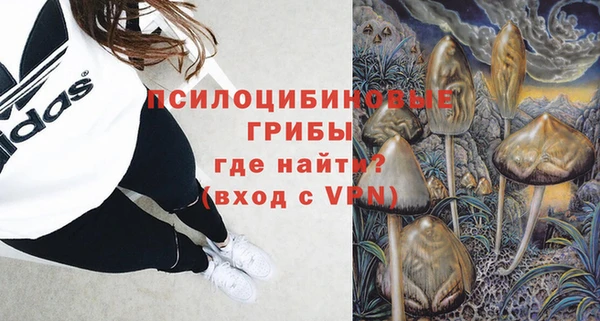 гидропоника Богородицк