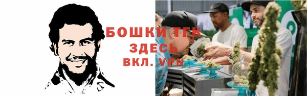 гидропоника Богородицк