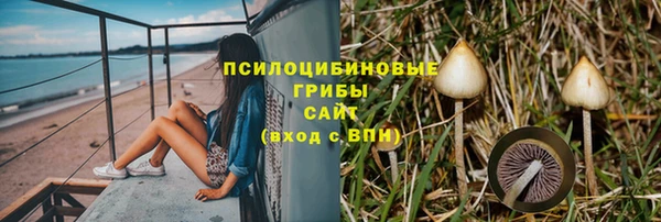гидропоника Богородицк