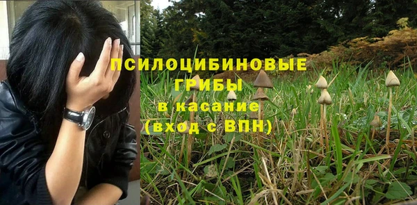 СК Богданович